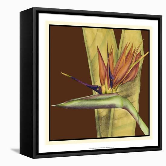 Striking Tropical II-Jennifer Goldberger-Framed Stretched Canvas