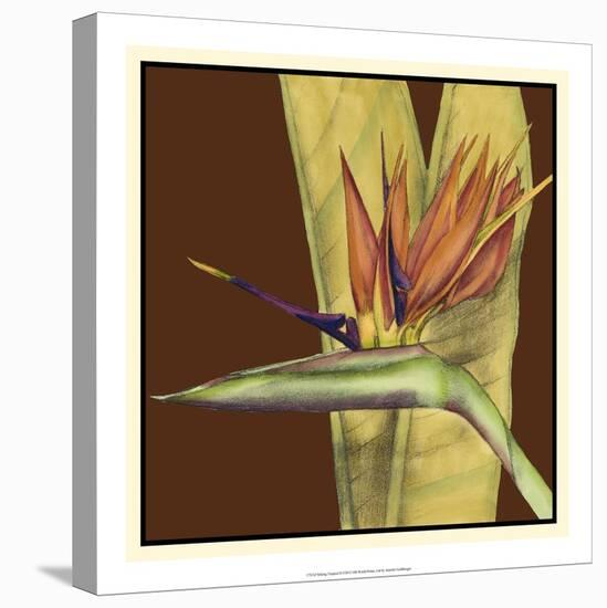 Striking Tropical II-Jennifer Goldberger-Stretched Canvas