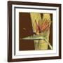 Striking Tropical II-Jennifer Goldberger-Framed Art Print