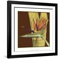 Striking Tropical II-Jennifer Goldberger-Framed Art Print