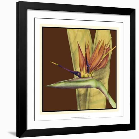 Striking Tropical II-Jennifer Goldberger-Framed Art Print