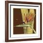 Striking Tropical II-Jennifer Goldberger-Framed Art Print