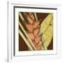 Striking Tropical IV-Jennifer Goldberger-Framed Art Print