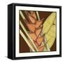 Striking Tropical IV-Jennifer Goldberger-Framed Stretched Canvas