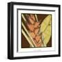 Striking Tropical IV-Jennifer Goldberger-Framed Art Print