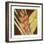 Striking Tropical IV-Jennifer Goldberger-Framed Art Print