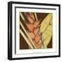 Striking Tropical IV-Jennifer Goldberger-Framed Art Print