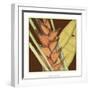 Striking Tropical IV-Jennifer Goldberger-Framed Art Print