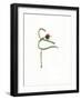 String Bean Chili Pepper Arabesque-Donna Basile-Framed Giclee Print