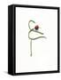 String Bean Chili Pepper Arabesque-Donna Basile-Framed Stretched Canvas