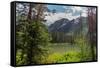 String Lake, Grand Tetons National Park, Wyoming, USA-Roddy Scheer-Framed Stretched Canvas