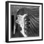 String of Link Type Insulators-null-Framed Photographic Print