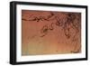 String Thesis-Sydney Edmunds-Framed Giclee Print