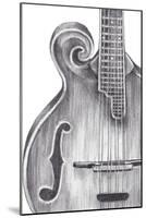 Stringed Instrument Study II-Ethan Harper-Mounted Art Print