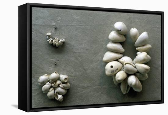 Strings of Cowrie Shells-null-Framed Stretched Canvas