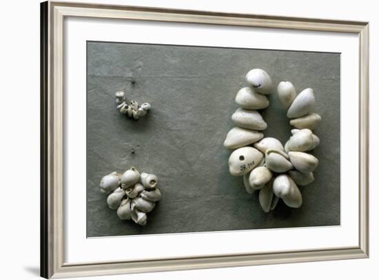 Strings of Cowrie Shells-null-Framed Photographic Print