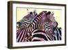 Stripe Me Lucky-Graeme Stevenson-Framed Giclee Print