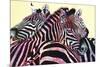 Stripe Me Lucky-Graeme Stevenson-Mounted Giclee Print