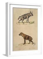 Striped and Spotted Hyena-null-Framed Art Print