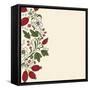 Striped Background Barberry with White Flower-Little_cuckoo-Framed Stretched Canvas