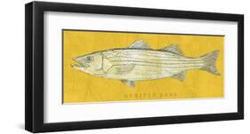 Striped Bass-John Golden-Framed Art Print