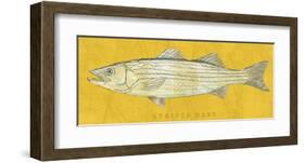 Striped Bass-John Golden-Framed Art Print