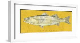 Striped Bass-John Golden-Framed Art Print