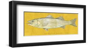 Striped Bass-John Golden-Framed Giclee Print