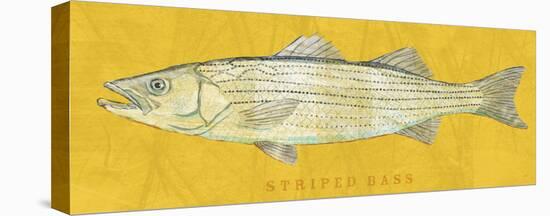 Striped Bass-John Golden-Stretched Canvas