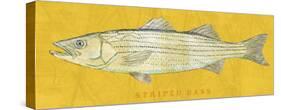 Striped Bass-John Golden-Stretched Canvas