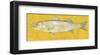 Striped Bass-John W^ Golden-Framed Art Print