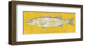 Striped Bass-John W^ Golden-Framed Art Print