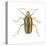 Striped Cucumber Beetle (Acalymma Vittata), Insects-Encyclopaedia Britannica-Stretched Canvas