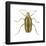 Striped Cucumber Beetle (Acalymma Vittata), Insects-Encyclopaedia Britannica-Framed Poster