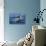 Striped Dolphin Swimming in the Strait of Gibraltar-null-Stretched Canvas displayed on a wall