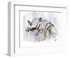 Striped Hyaena, 2010-Mark Adlington-Framed Premium Giclee Print