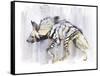 Striped Hyaena, 2010-Mark Adlington-Framed Stretched Canvas