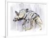 Striped Hyaena, 2010-Mark Adlington-Framed Giclee Print