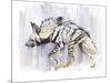 Striped Hyaena, 2010-Mark Adlington-Mounted Giclee Print