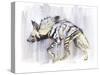 Striped Hyaena, 2010-Mark Adlington-Stretched Canvas