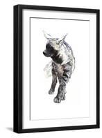 Striped Hyaena Pup, 2010-Mark Adlington-Framed Giclee Print