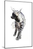 Striped Hyaena Pup, 2010-Mark Adlington-Mounted Giclee Print