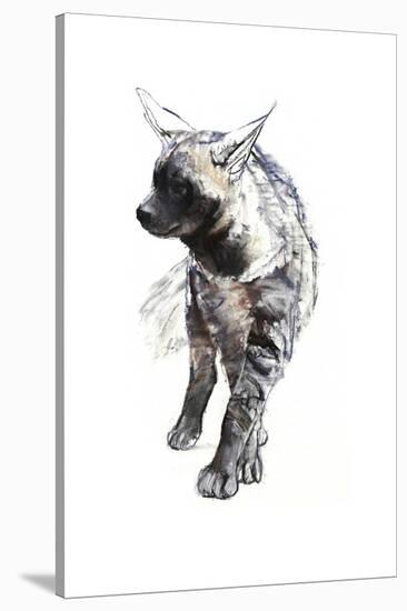 Striped Hyaena Pup, 2010-Mark Adlington-Stretched Canvas