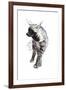 Striped Hyaena Pup, 2010-Mark Adlington-Framed Giclee Print