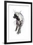 Striped Hyaena Pup, 2010-Mark Adlington-Framed Giclee Print