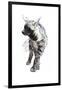 Striped Hyaena Pup, 2010-Mark Adlington-Framed Giclee Print