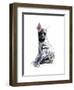 Striped Hyaena Pup, 2010-Mark Adlington-Framed Premium Giclee Print