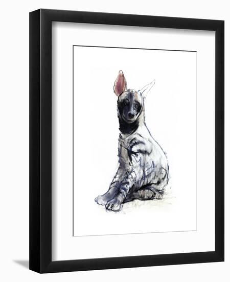 Striped Hyaena Pup, 2010-Mark Adlington-Framed Premium Giclee Print