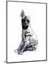 Striped Hyaena Pup, 2010-Mark Adlington-Mounted Premium Giclee Print