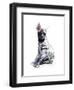 Striped Hyaena Pup, 2010-Mark Adlington-Framed Giclee Print